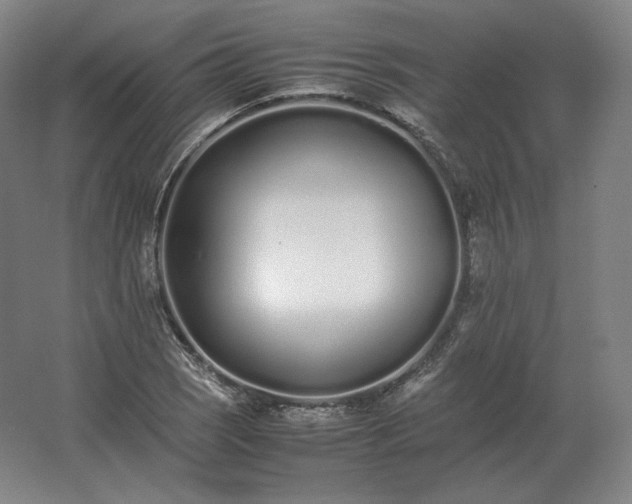 X0000062671121200512281732