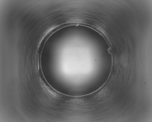 X0000062671123200512281732