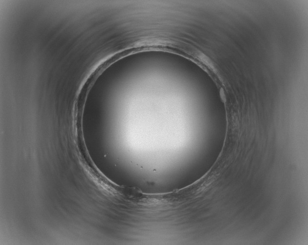 X0000062671124200512281732