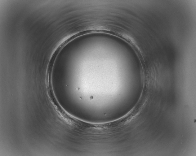 X0000062671125200512281732