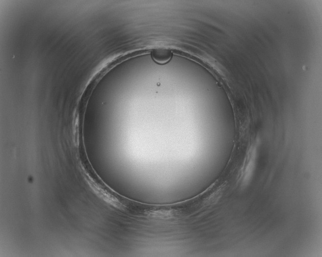 X0000062671126200512281732