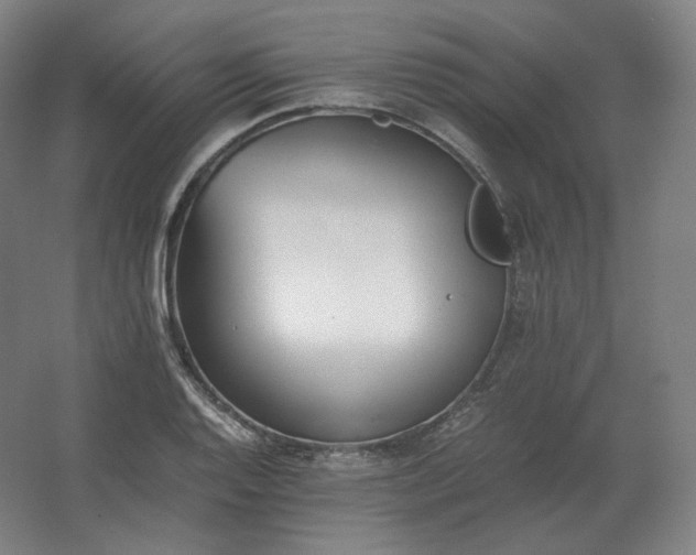 X0000062671128200512281732