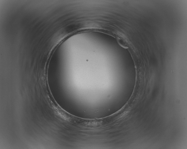 X0000062671129200512281732