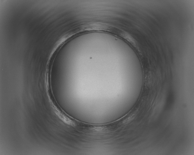 X0000062671130200512281732