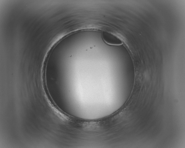 X0000062671135200512281732