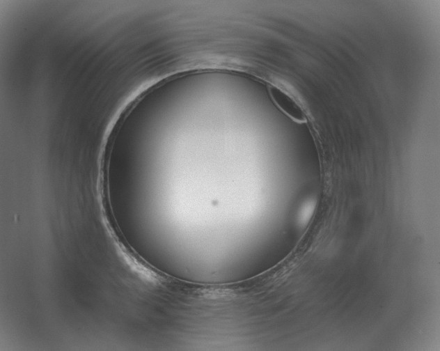 X0000062671136200512281732