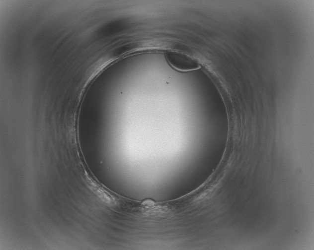 X0000062671137200512281732