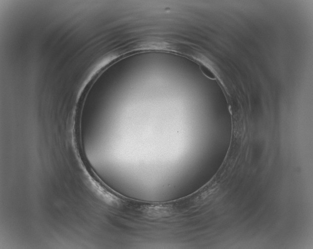 X0000062671139200512281732