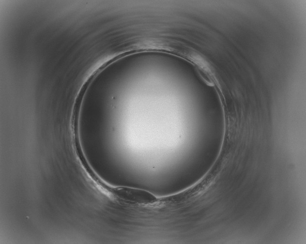 X0000062671141200512281732