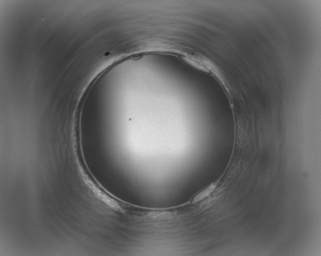 X0000062671142200512281732