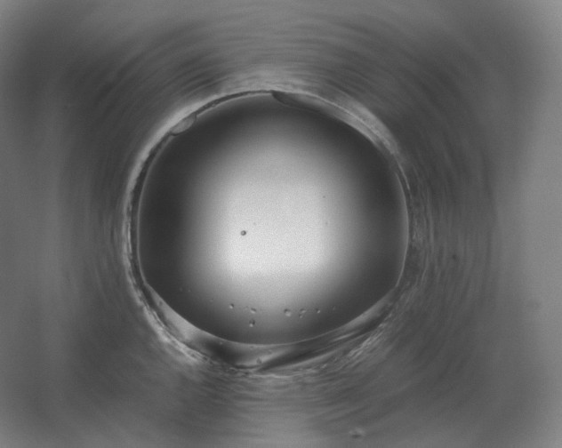 X0000062671144200512281732