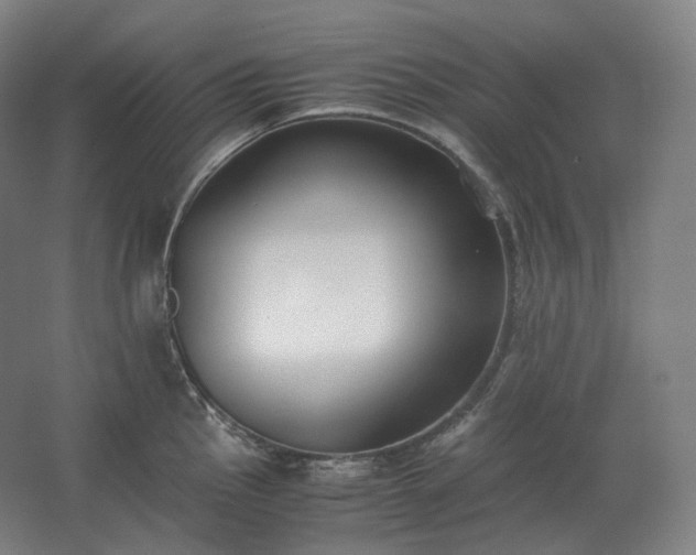 X0000062671145200512281732