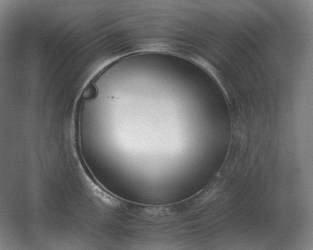 X0000062671147200512281732