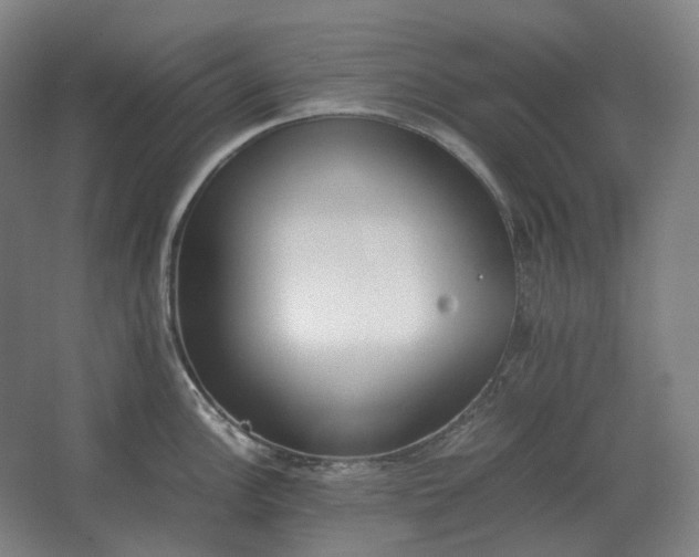 X0000062671148200512281732