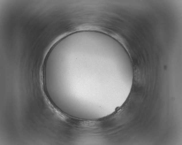 X0000062671150200512281732