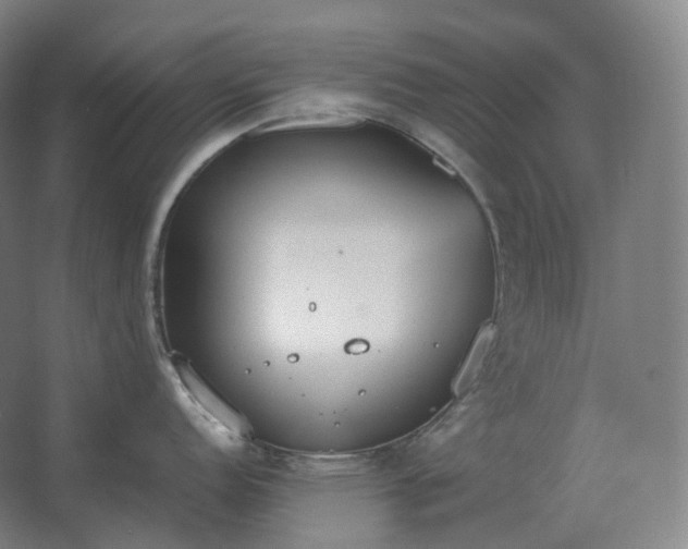 X0000062671152200512281732