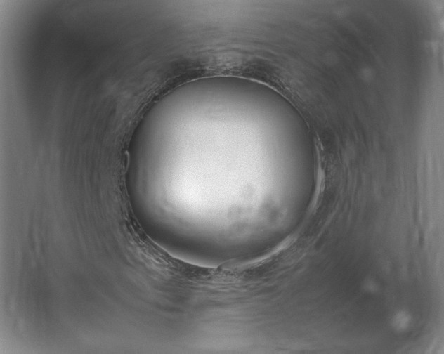 X0000062671153200512281731