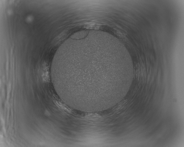 X0000062671154200512281731