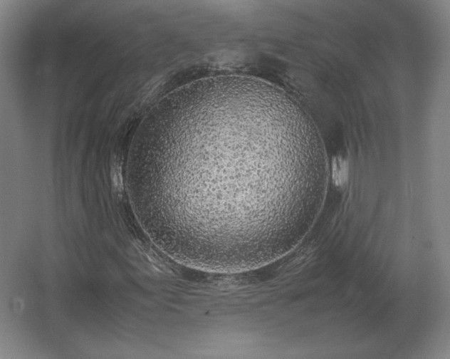 X0000062671155200512281731