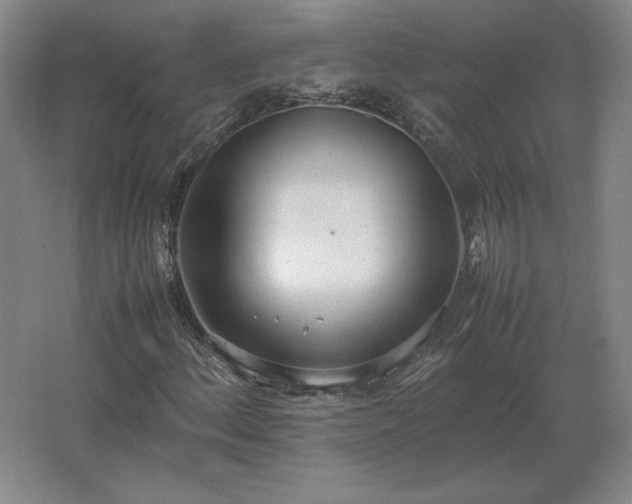 X0000062671156200512281731