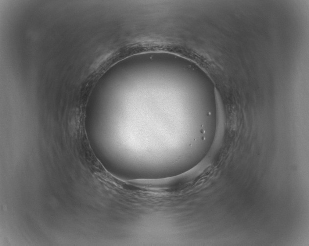 X0000062671157200512281731