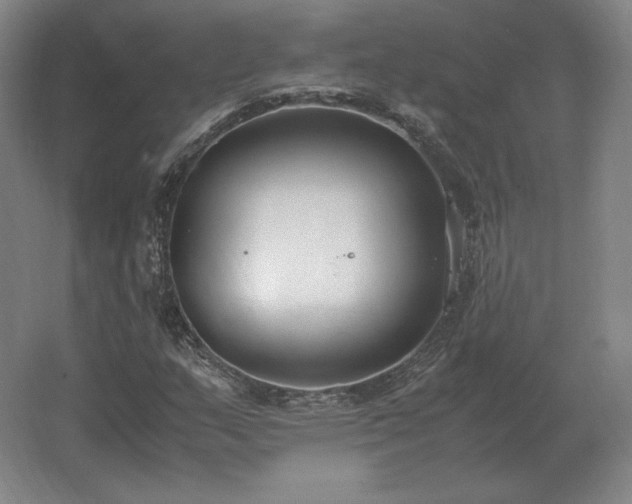 X0000062671159200512281731