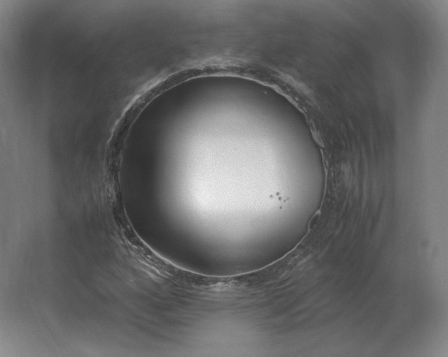 X0000062671160200512281731