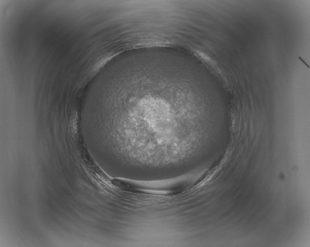 X0000062671161200512281731