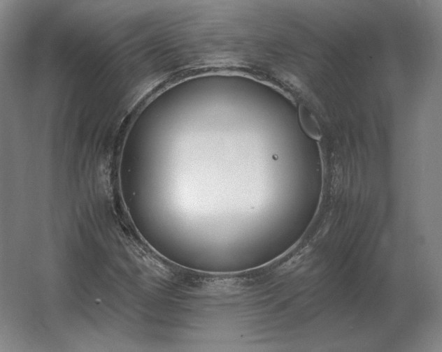 X0000062671162200512281731