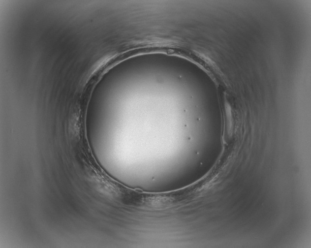 X0000062671163200512281731