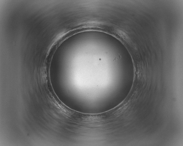 X0000062671164200512281731