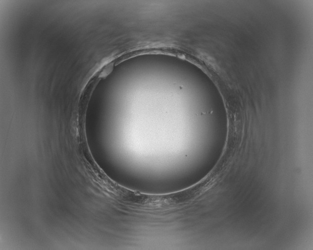 X0000062671165200512281731