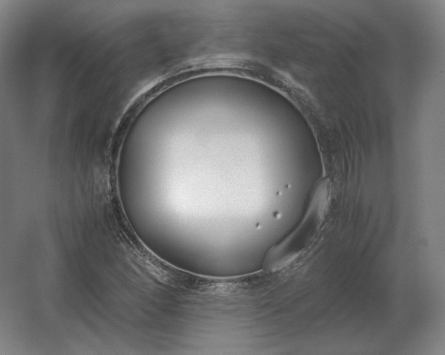 X0000062671166200512281731