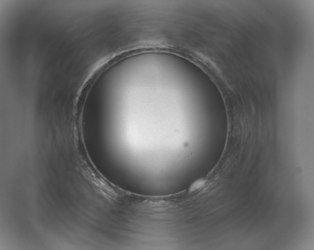 X0000062671168200512281731