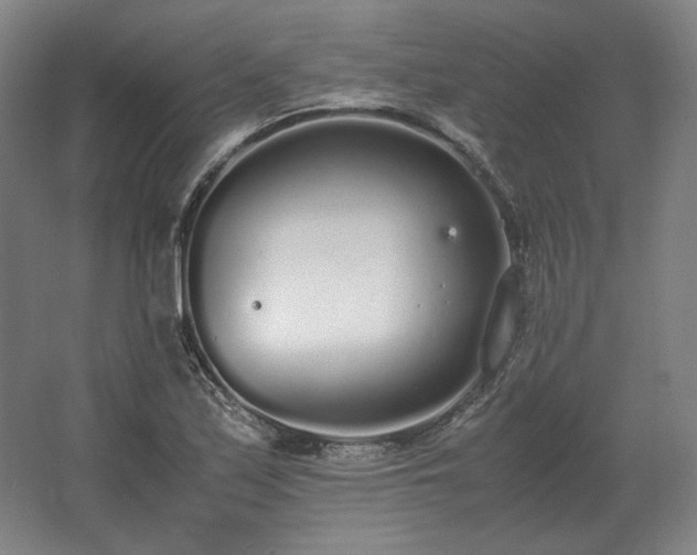 X0000062671171200512281731