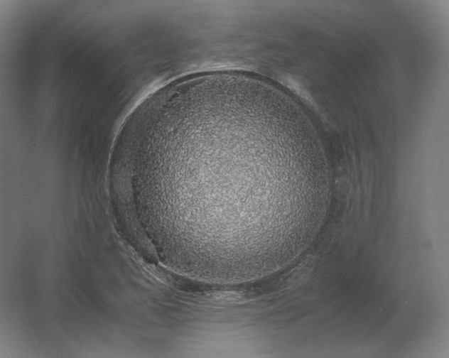 X0000062671173200512281731