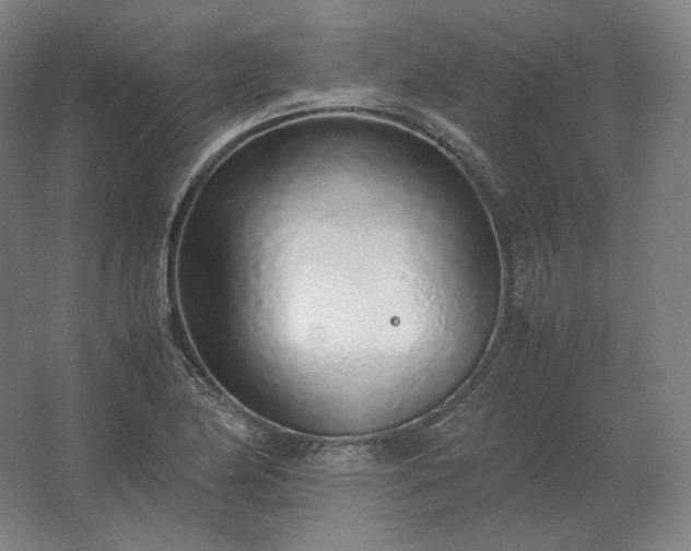 X0000062671174200512281731