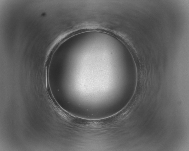 X0000062671175200512281731