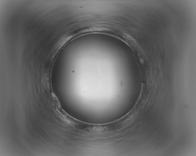 X0000062671177200512281731