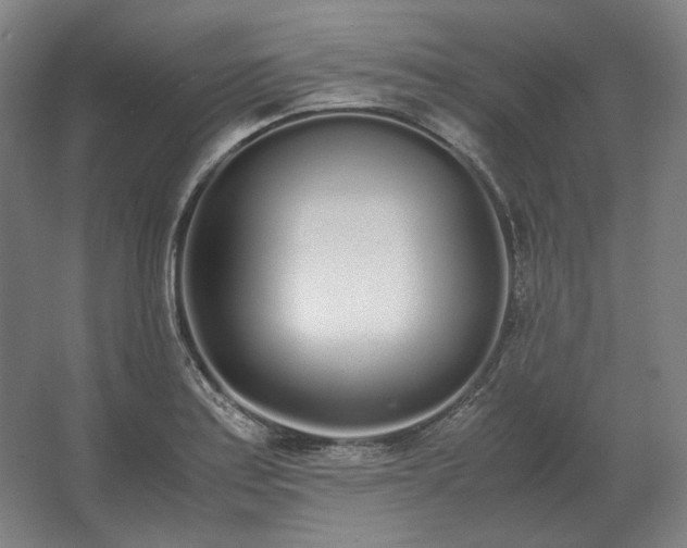 X0000062671179200512281731