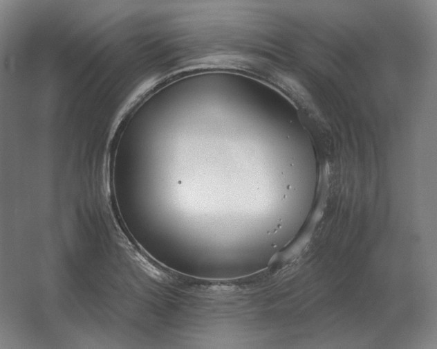 X0000062671180200512281731