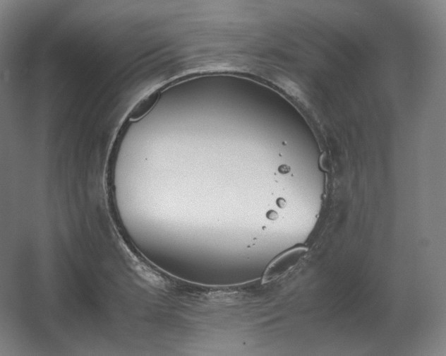 X0000062671181200512281731