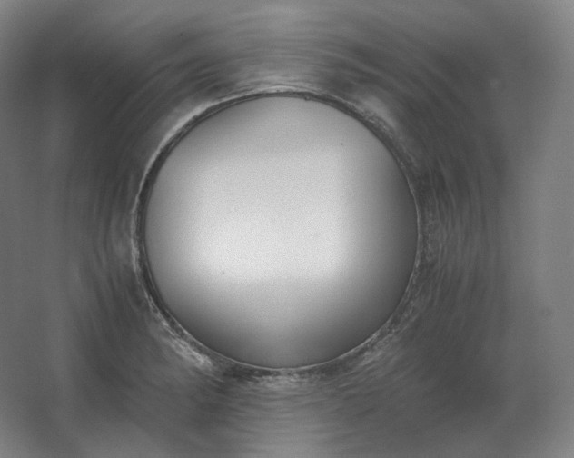 X0000062671182200512281731