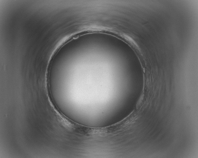 X0000062671183200512281731