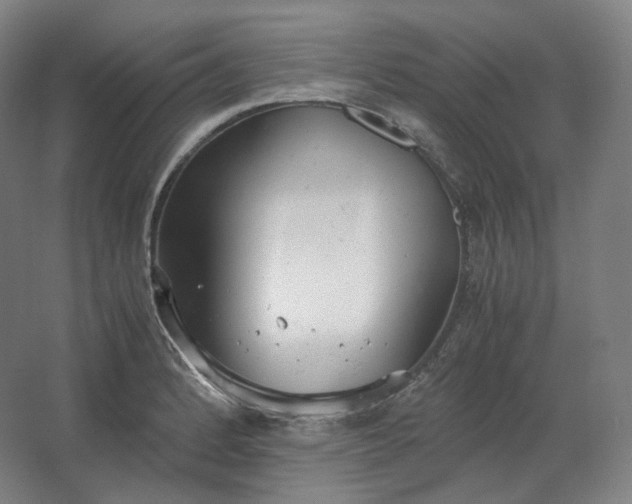 X0000062671184200512281731