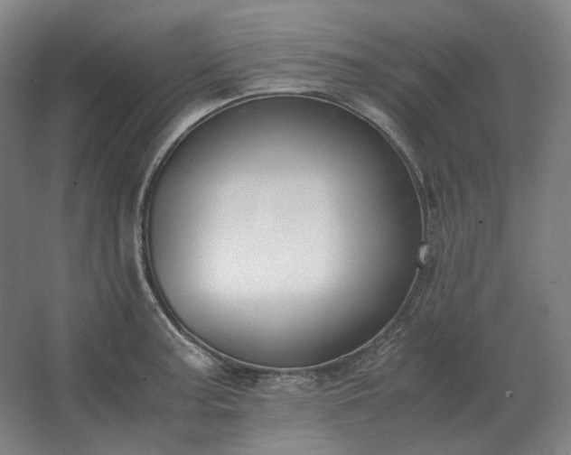 X0000062671187200512281731