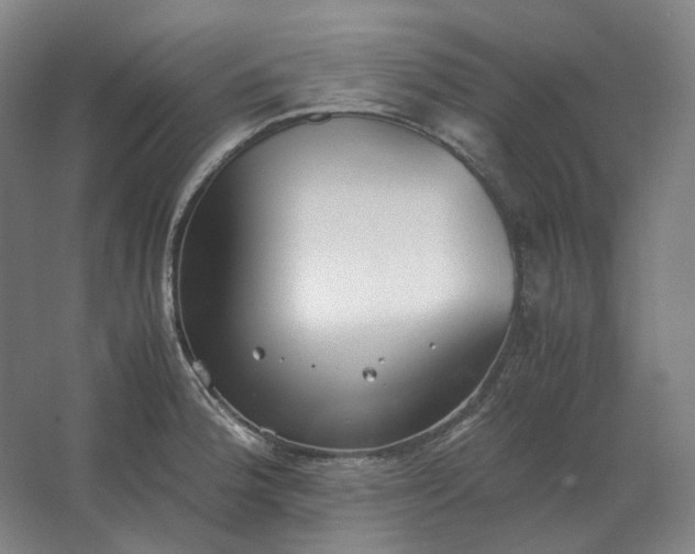 X0000062671188200512281731