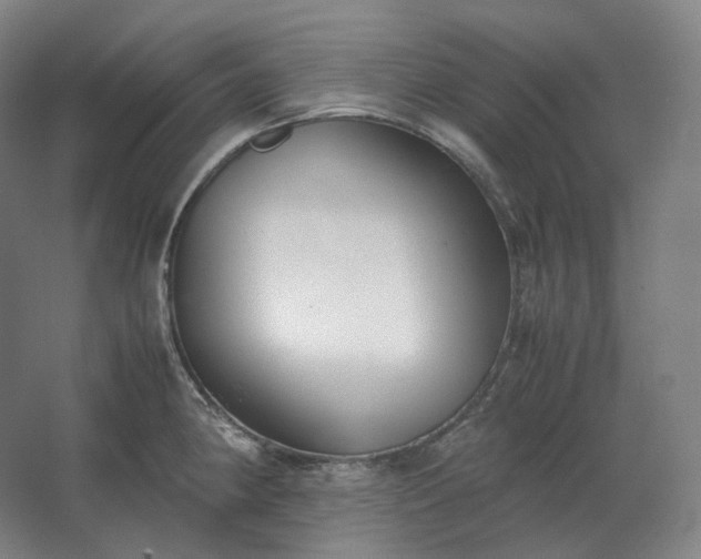 X0000062671190200512281731