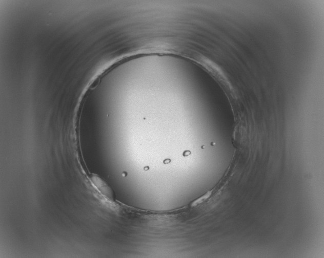 X0000062671192200512281731