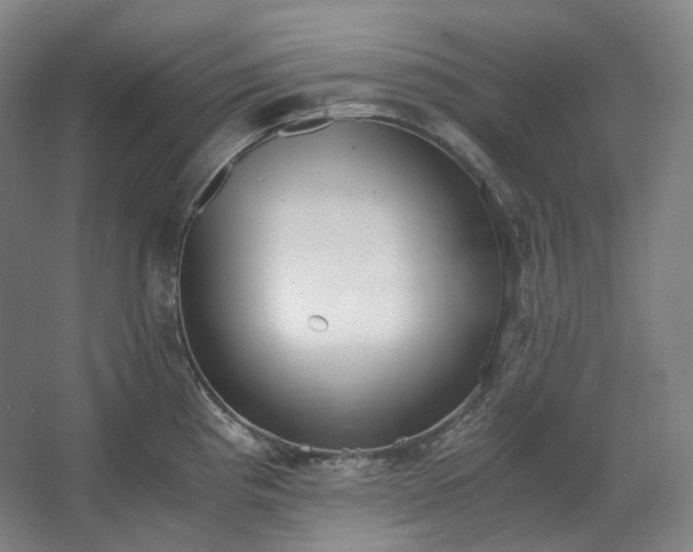 X0000062671193200512281731